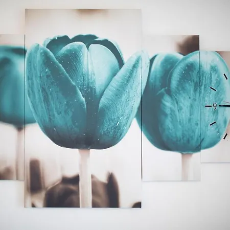 Baradic アパート ペトルチャネ