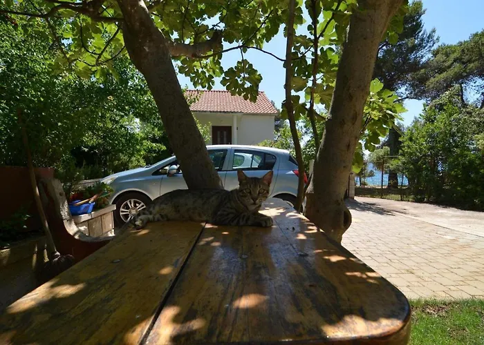 Appartement Baradic