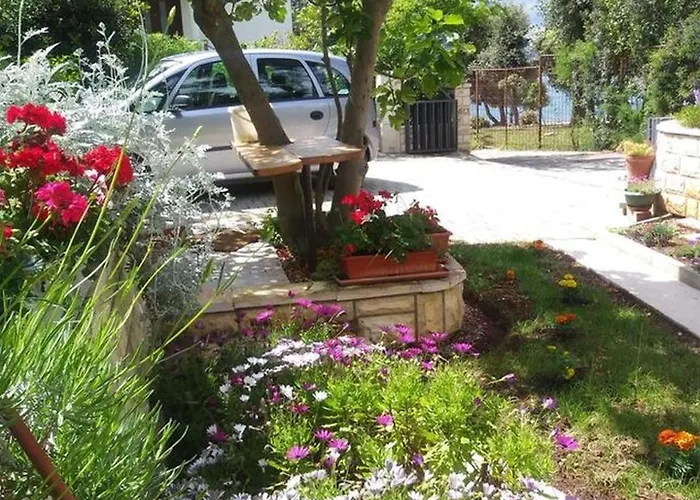 Baradic 돈제페트레케인