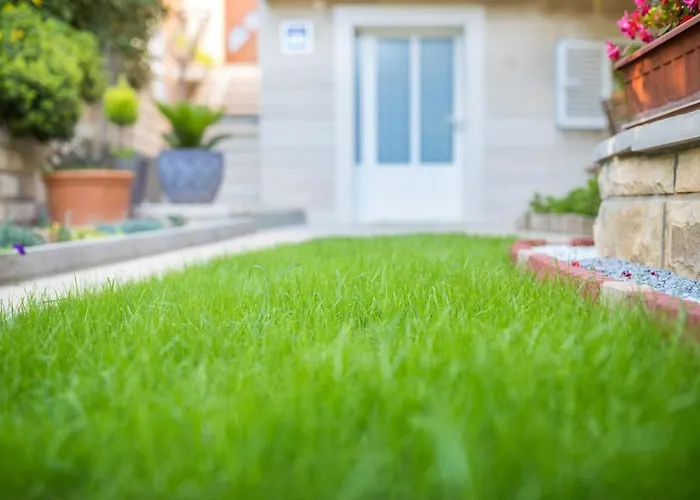 Baradic بيتريتْشاني