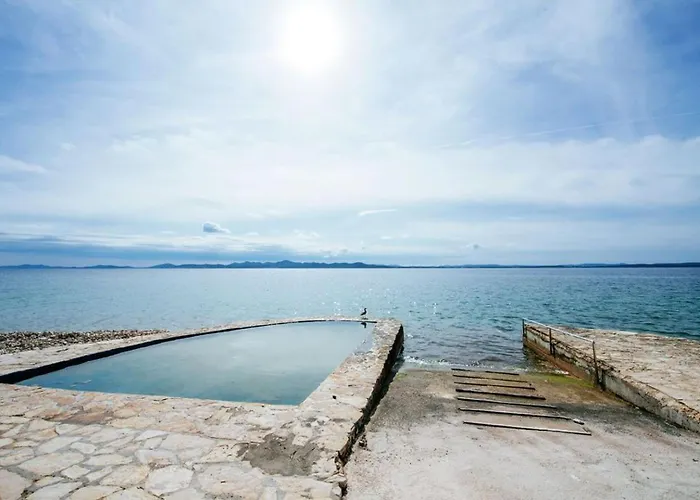 Baradic 돈제페트레케인